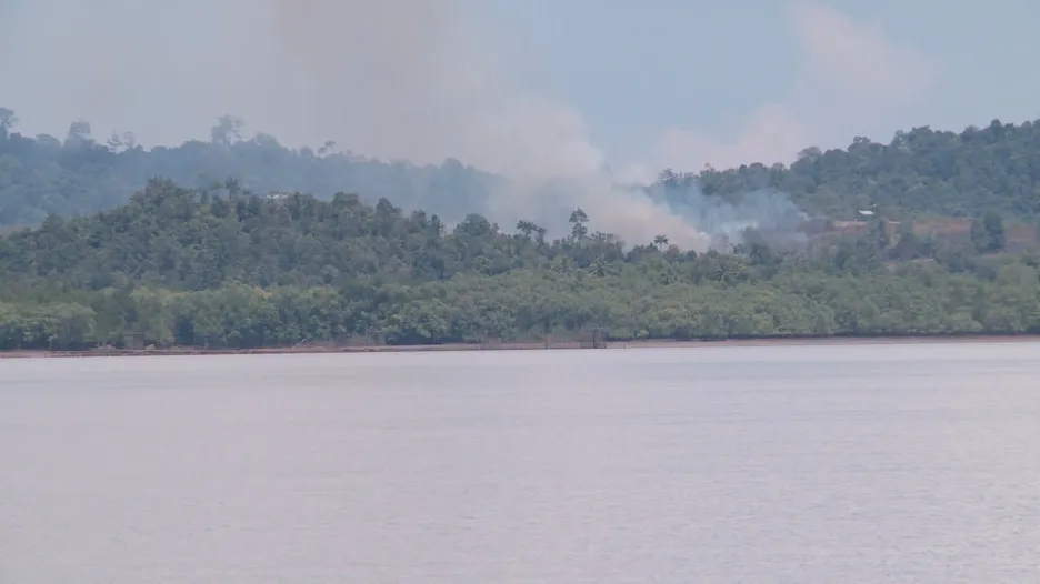 Záběry ČT zachycují vypalování pralesa