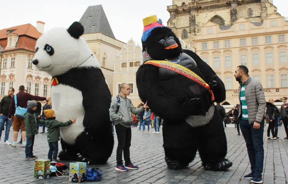 Lidé v obřích kostýmech zvířat vystupovali na pražském Staroměstském náměstí ještě v říjnu