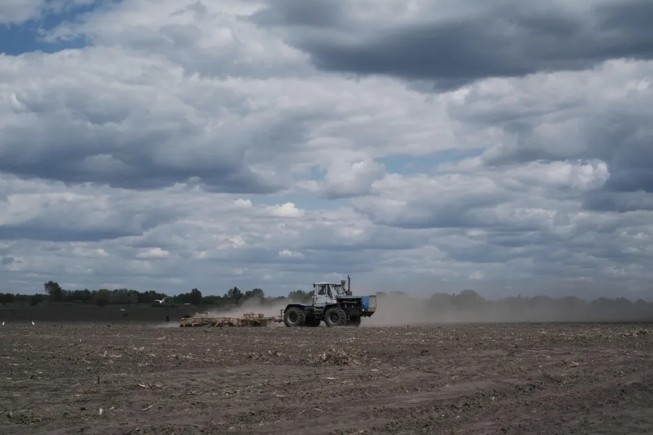Planting Ukrainian farmers in a field near Kiev