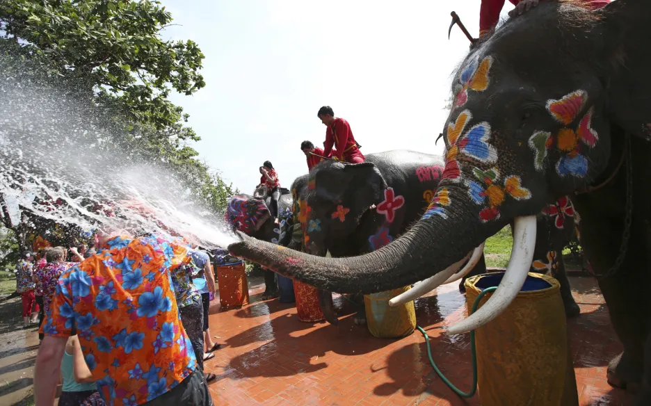 Sloní turistika v Thajsku