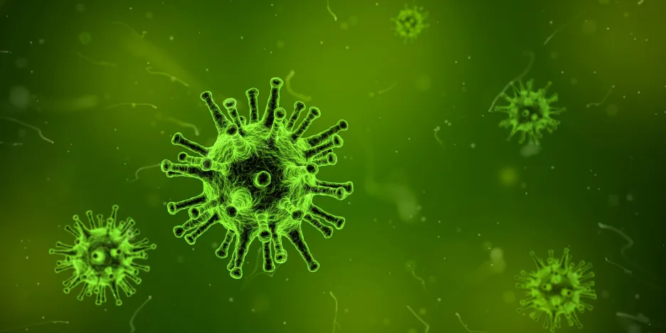 Vizualizace viru chřipky