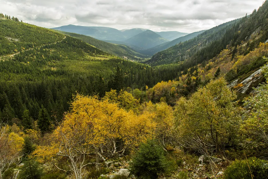 Krkonošský národní park slaví 55 let
