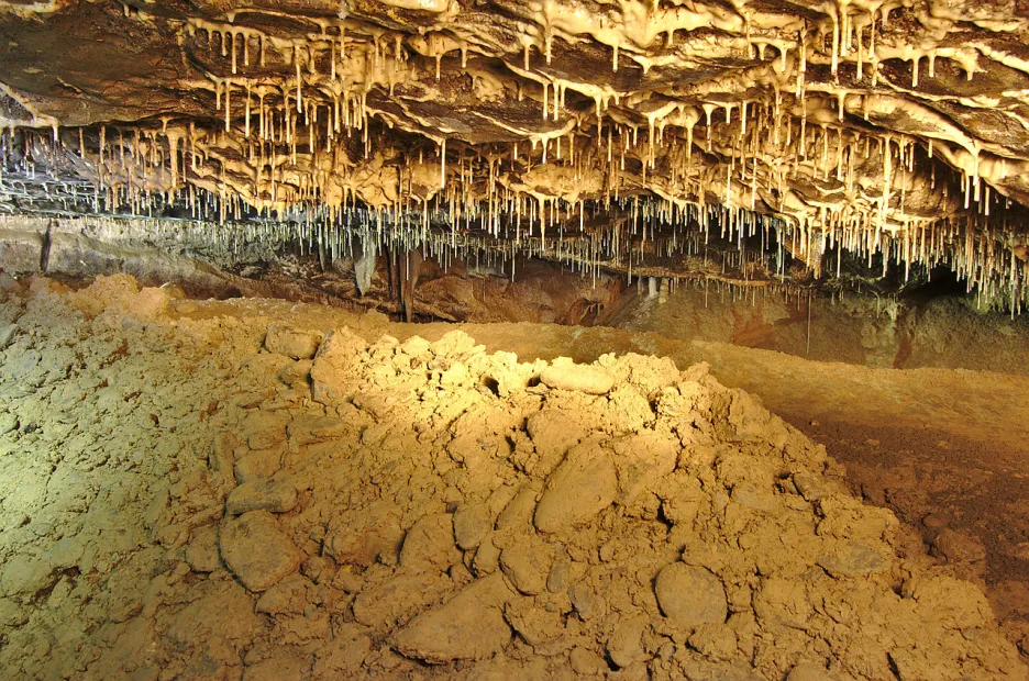 Klon z Stékající dešťová voda ničí krápníky v Amatérské jeskyni