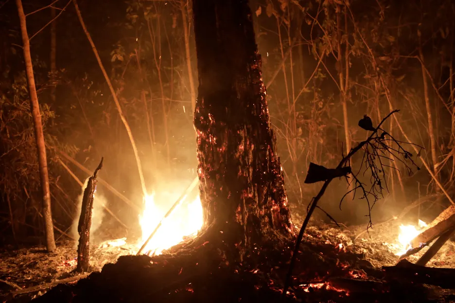 Hořící amazonský prales
