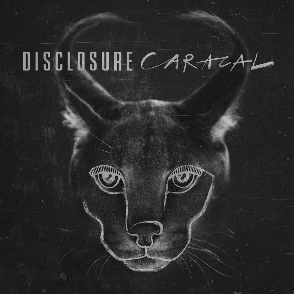 Disclosure / Caracal