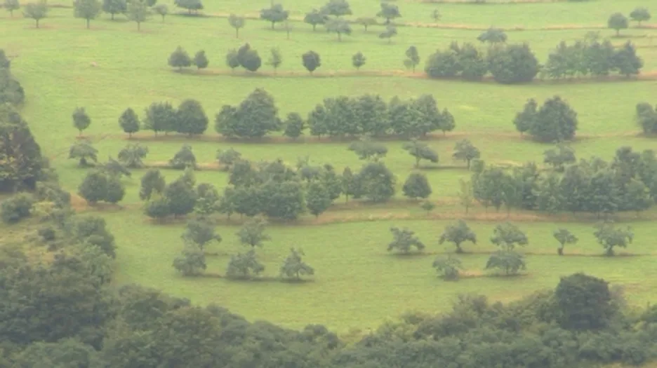 Ekofarma zabraňuje erozi vysazováním stromů