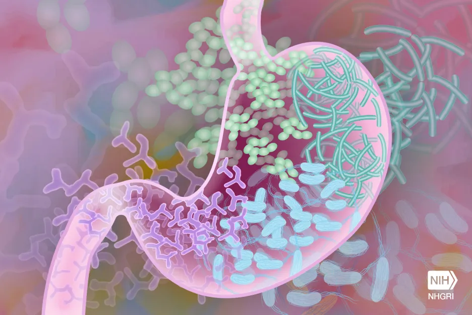 Mikrobiom, ilustrační foto