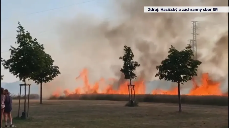 

Slovensko postihlo extrémní sucho. Zemi na několika místech sužují požáry

