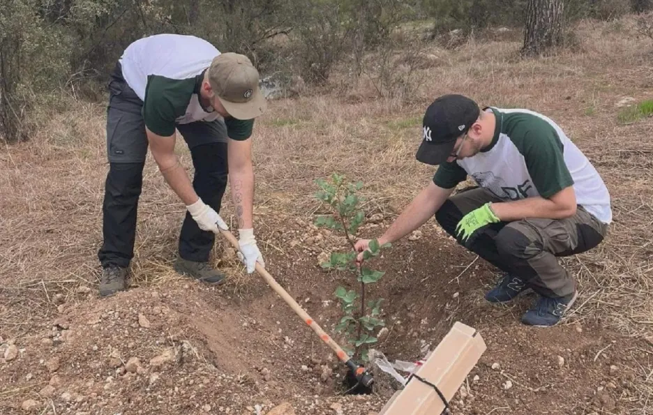 

S obnovou Masarykova lesa v Izraeli už potřetí pomáhali brněnští studenti 

