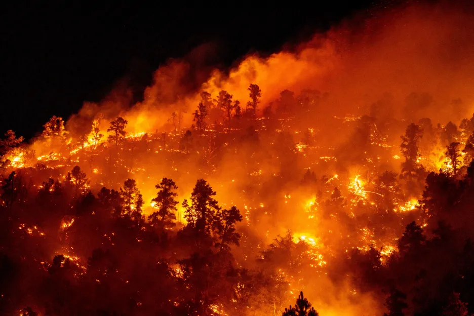 

V Kalifornii začala sezona lesních požárů. Na jihu státu už shořely čtyři kilometry čtvereční půdy

