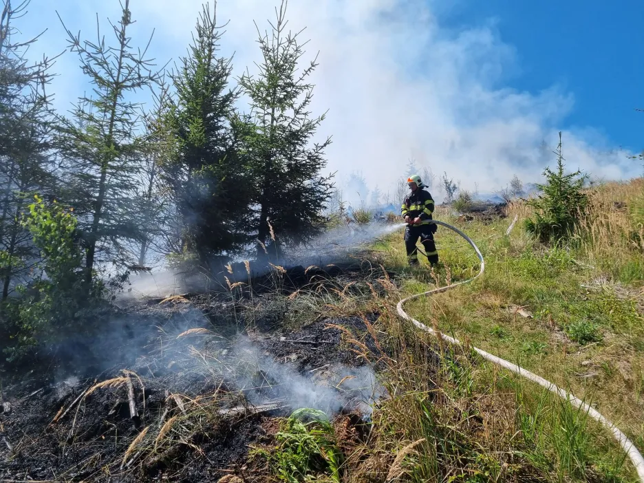 

Na Vsetínsku hořel mladý les, s hašením pomáhal vrtulník

