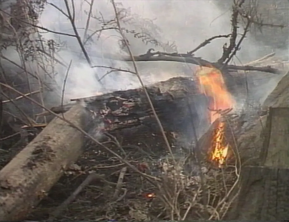 

30 let zpět: Lesní požár u Tisé na Děčínsku

