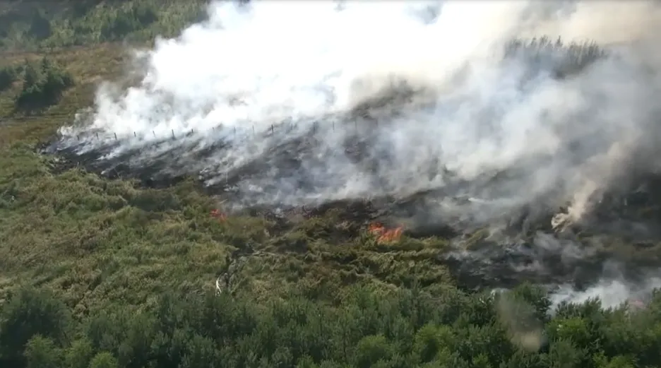 

Na Písecku hoří třicet hektarů lesa, hasiči požár zatím nemají pod kontrolou

