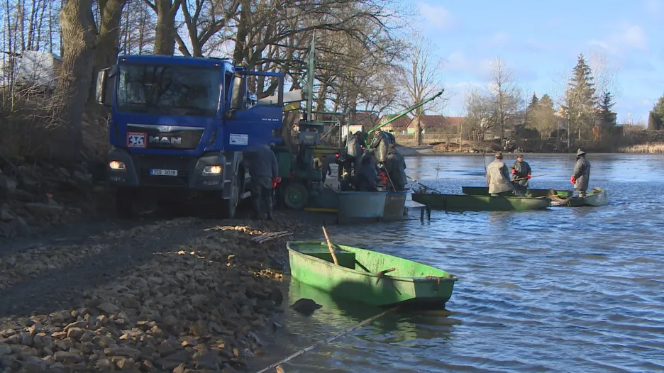 Video UvR: Rybáři loví předčasně, bojí se viru