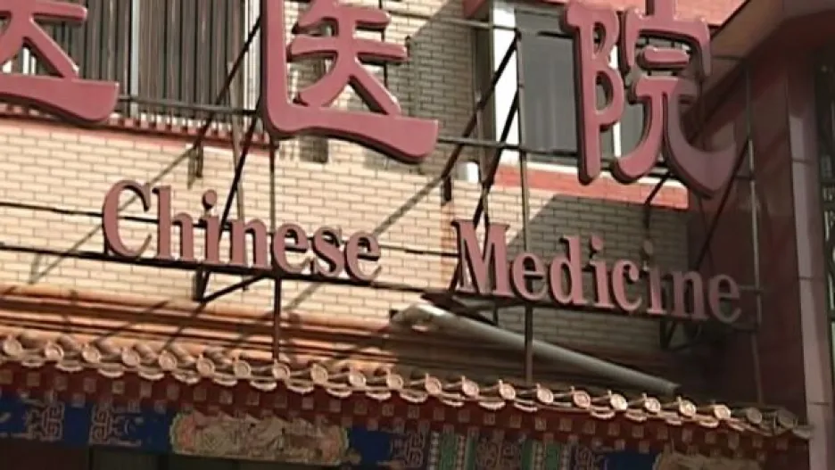 Video Česko má zájem o tradiční čínskou medicínu