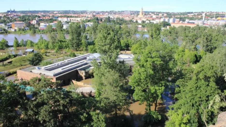 Video Loňské povodně způsobily v pražské zoo škody za 52 milionů