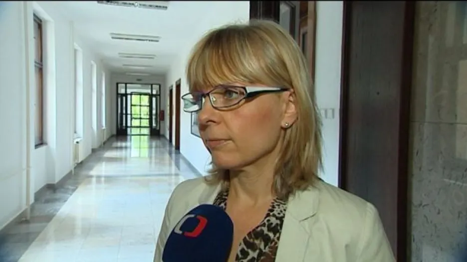Video Klub ČSSD vyzval náměstkyni Piperkovou a radního Palyzu k rezignaci do 24 hodin