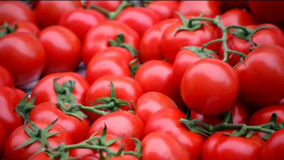Video Události: Pozor na nebezpečná rajčata