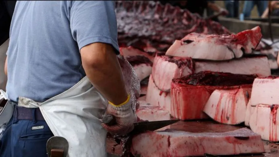 Video Zástupce Greenpeace: Velrybí maso bylo volně prodáváno na trhu