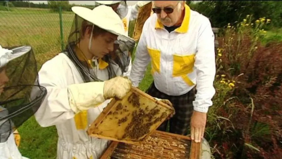 Video Letní včelařská škola