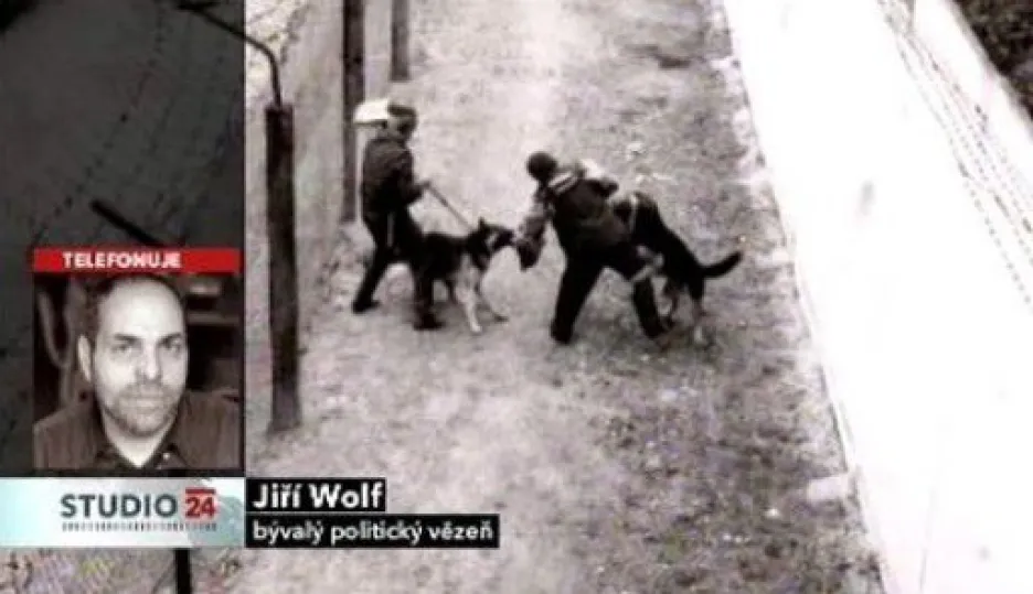 Video Rozhovor s Jiřím Wolfem