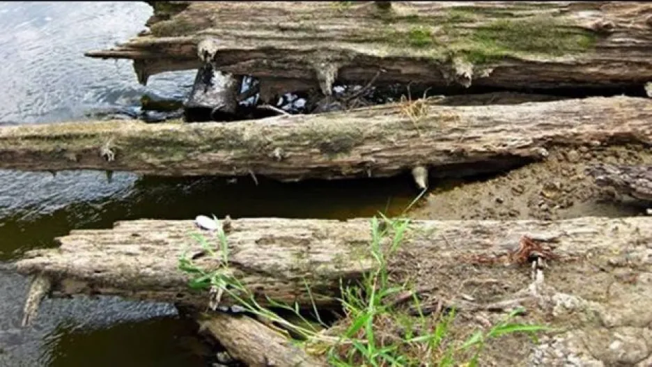 Video Odra odkryla zbytky 800 let staré dřevěné cesty