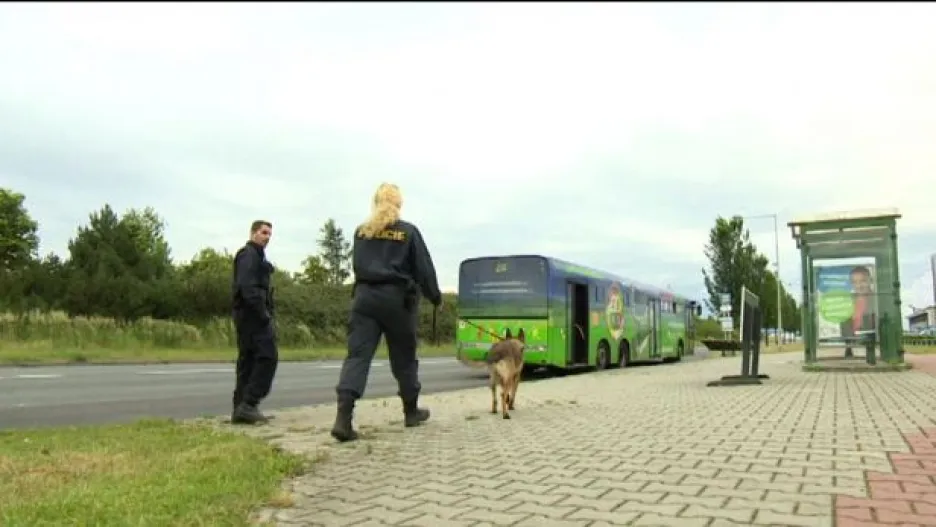 Video BEZ KOMENTÁŘE: Policisté prohledávají místo střelby v Plzni