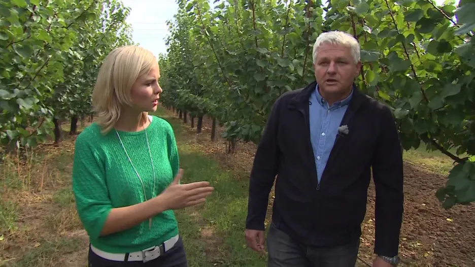 Video Ivo Pokorný komentuje malou úrodu ovoce