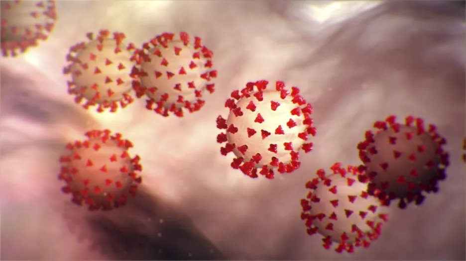 Video Daniel Stach přináší novinky o koronaviru i o opatření proti jeho šíření