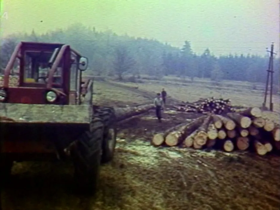 Video Novinky v dřevozpracujícím průmyslu
