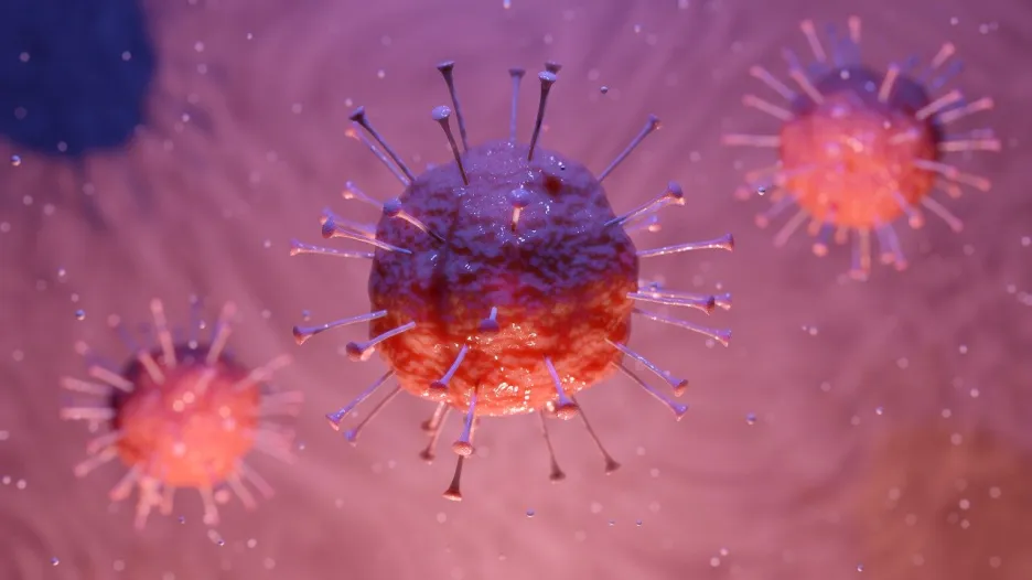 Nový koronavirus, ilustrační foto