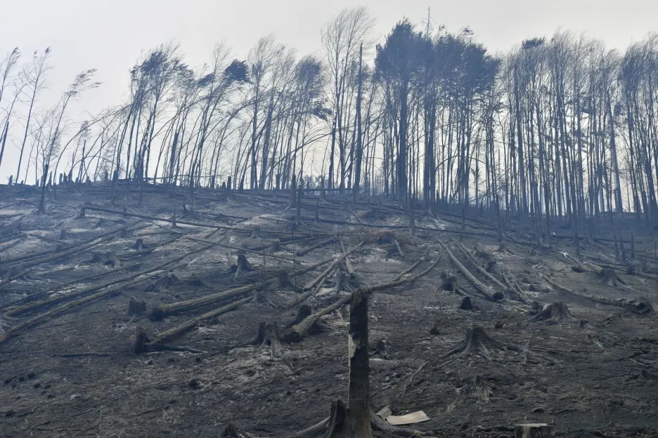 Lesní požár v Českém Švýcarsku (26. 7. 2022)