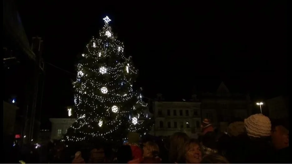 Vánoční strom v Kolíně