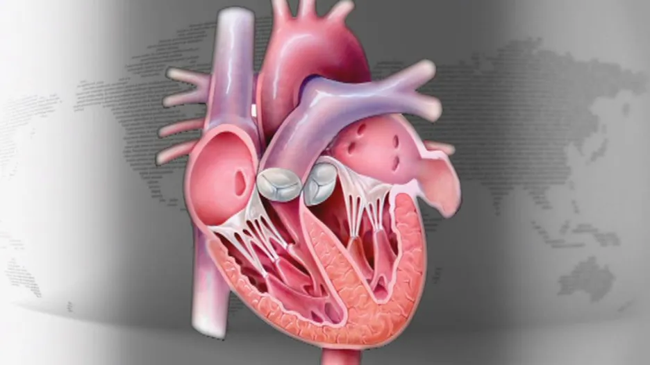 Jak se zbavit srdeční arytmií?