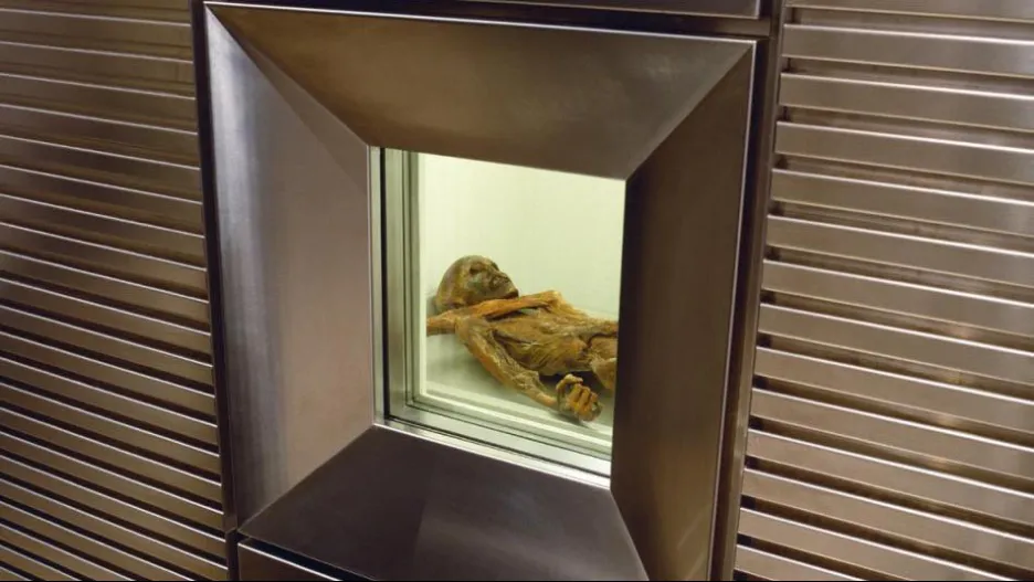 Mumie Ötzi v bolzanském muzeu