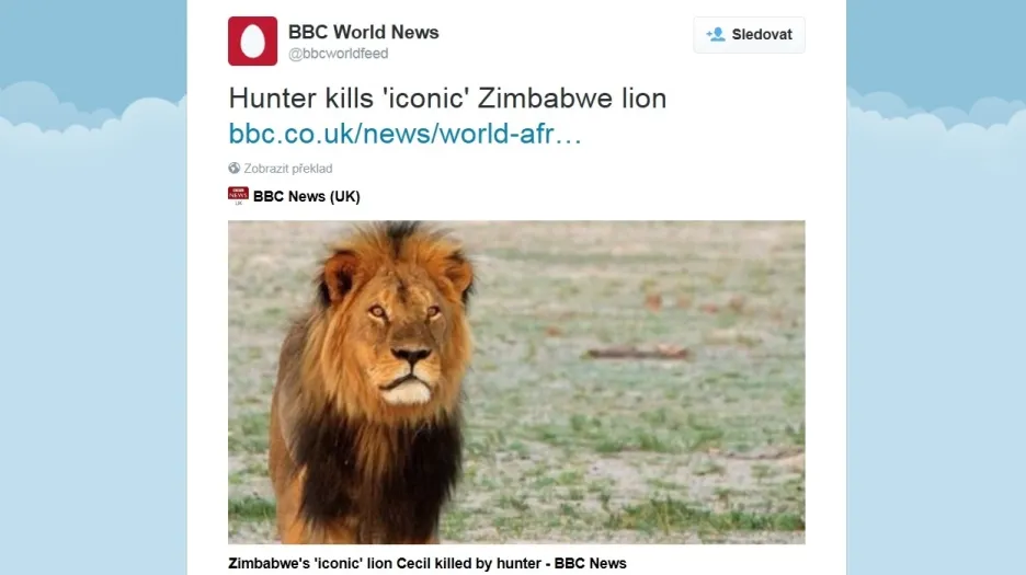 Tweet o zabití nejslavnějšího lva Afriky