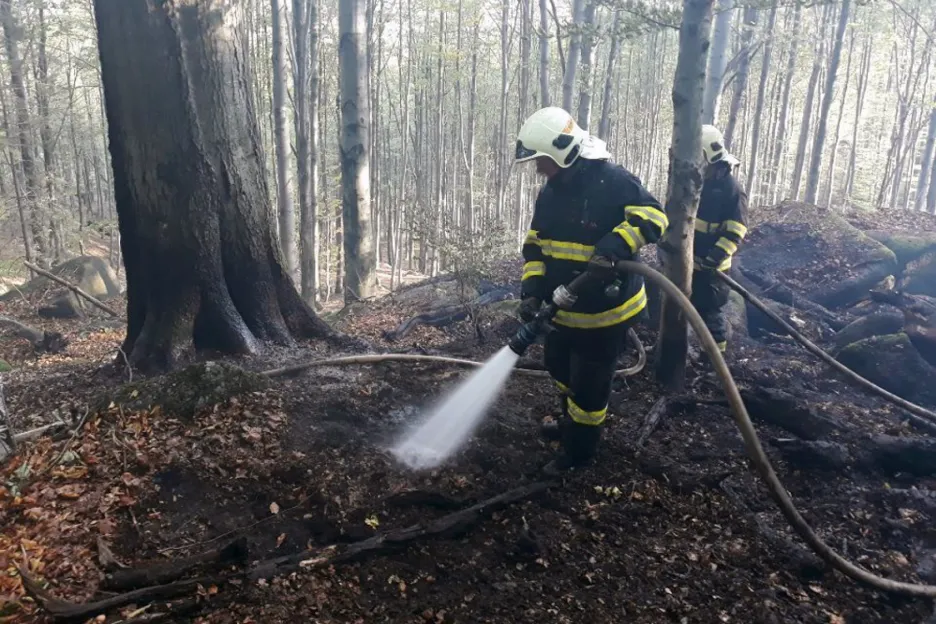 Požár lesa u Raspenavy