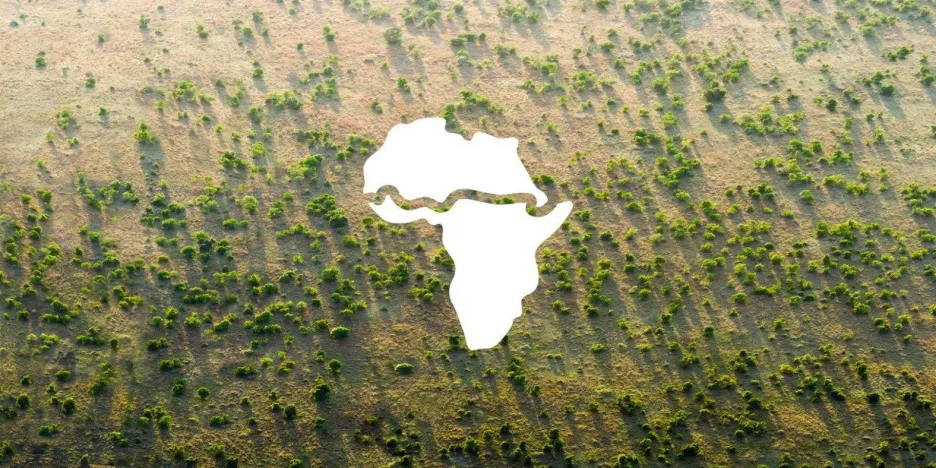 Velká zelená africká zeď