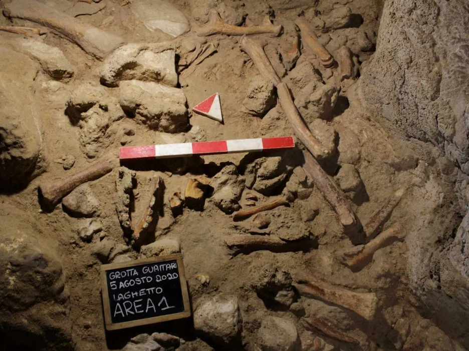Kosti neandrtálců z jeskyně Guattari