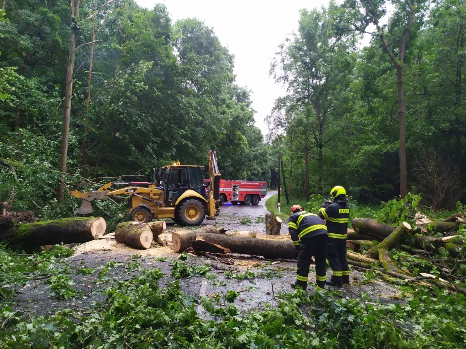 Hasiči v Karlovarském kraji po silné bouřce odklízeli popadané stromy a větve 