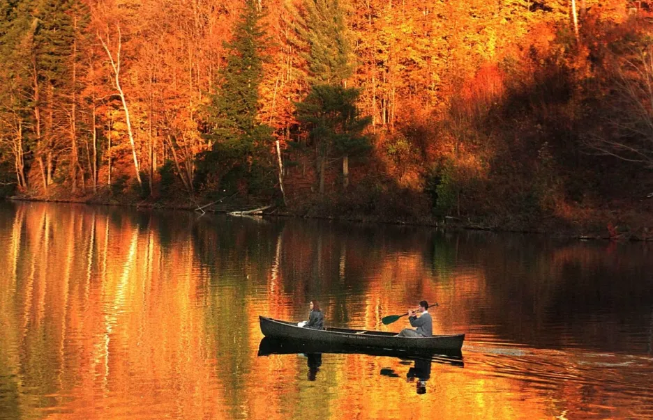 Podzimní les ve Vermontu