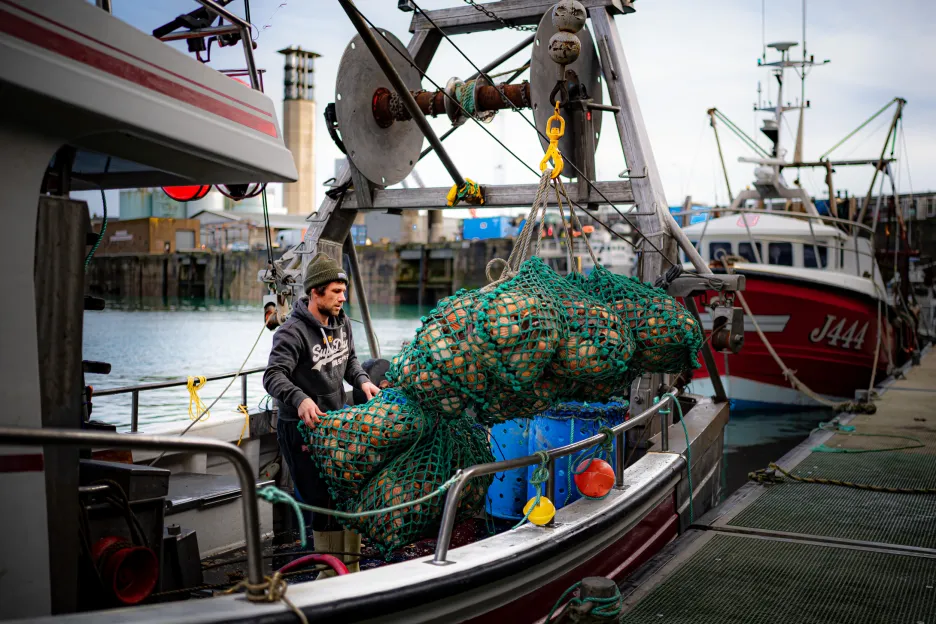 Rybář vykládá úlovek v přístavu na ostrově Jersey