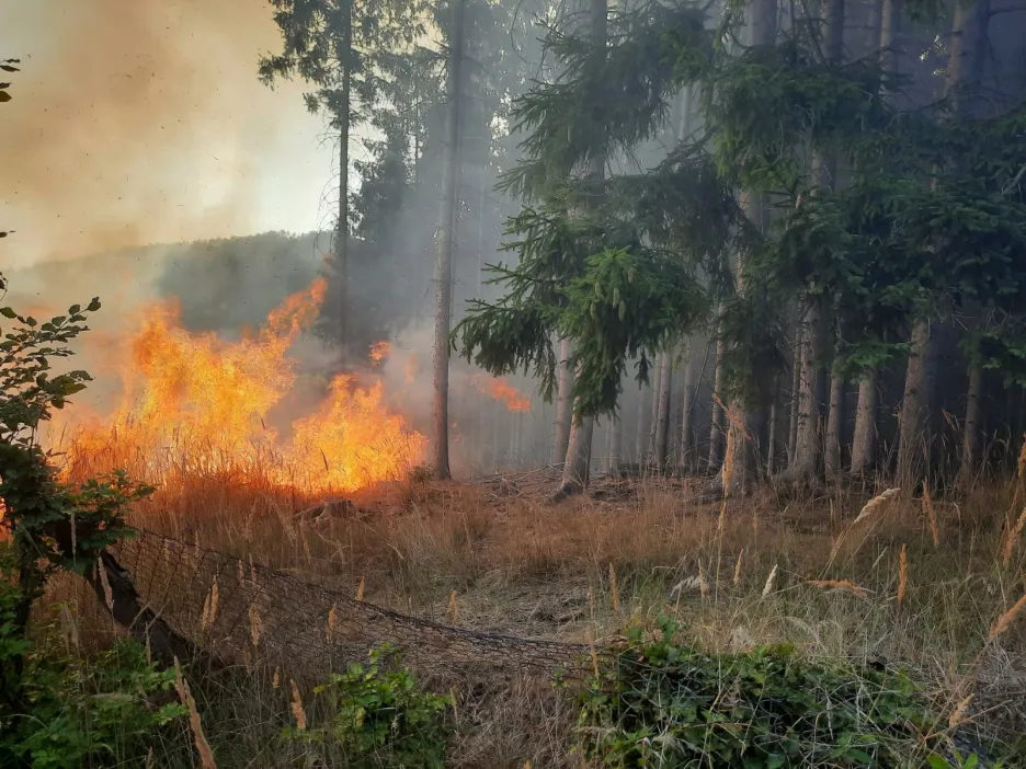 Požár lesa v Lukovečku na Zlínsku
