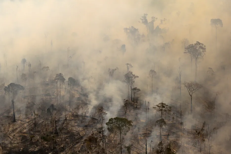 Ničení deštného pralesa v jižní Amazonii