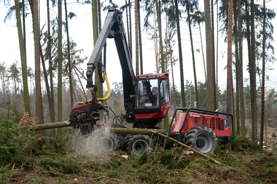 Harvestor likviduje popadané stromy v ZOO Olomouc