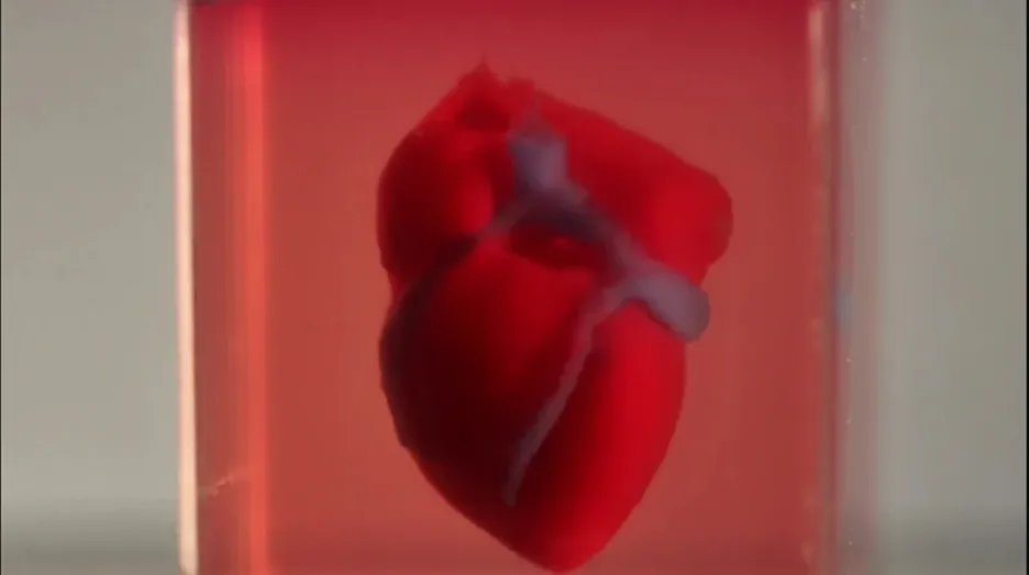 Srdce 3D z Izraele