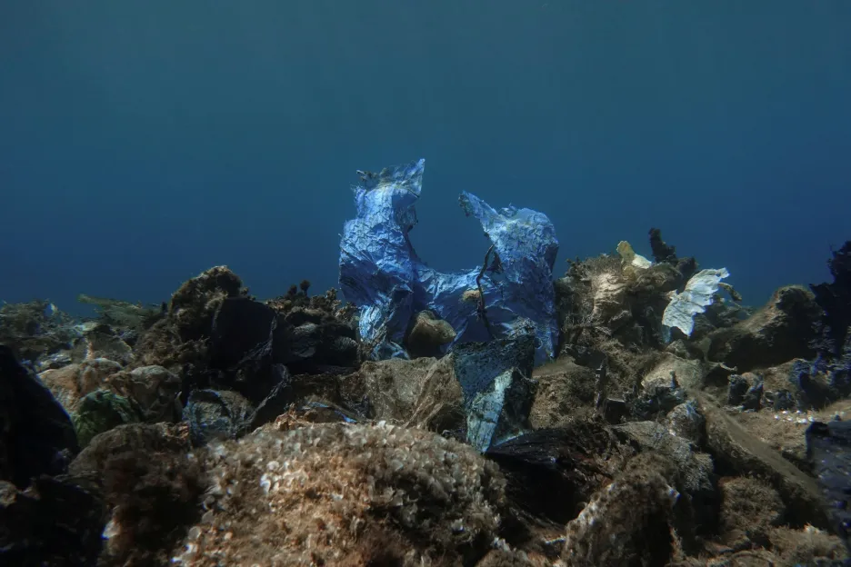 Plasty putují oceány