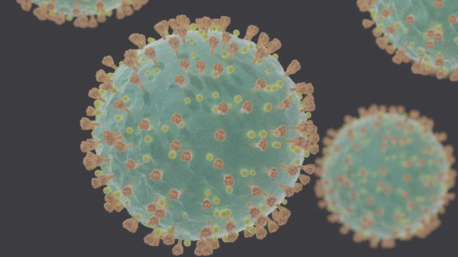 Vizualizace nového koronaviru