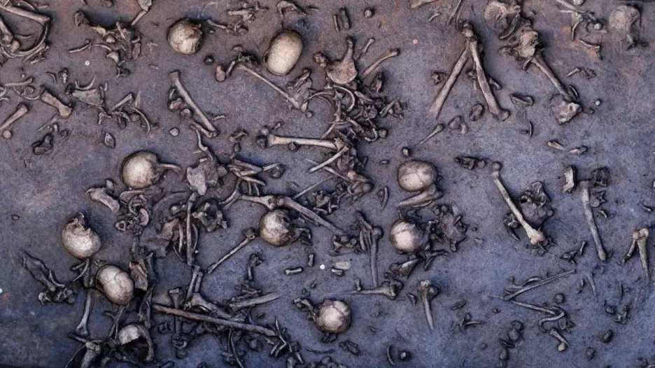 Kostry nalezené na místě bitvy u Tollense