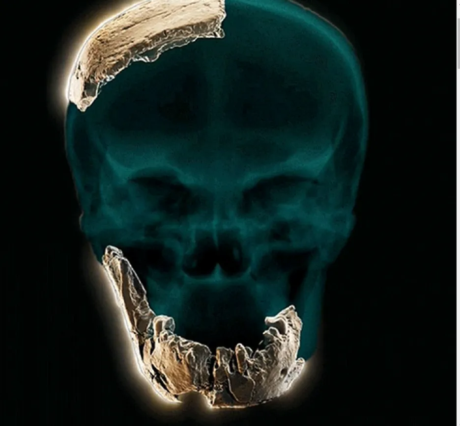 Rekonstrukce lebky Homo Nešer Ramla